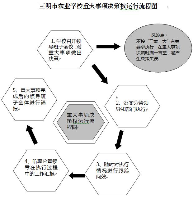 韦德体育(中国)重大事项决策权运行流程图.JPG